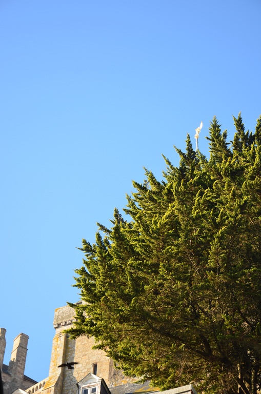 2016-12 France/Mont St Michel/DSC_0025.JPG